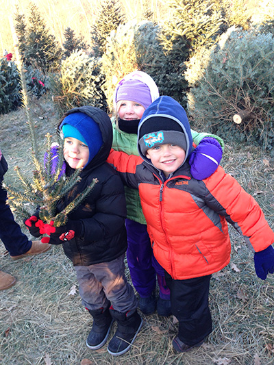 Recycle Your Christmas Tree